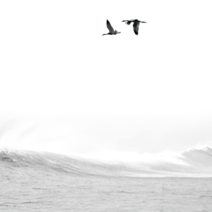 I Remember The Sea (Biển Nhớ)